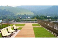 �ޗǌ����ɉ���J���̎ʐ^1