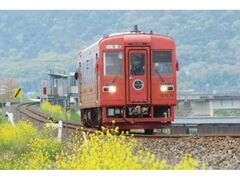 �䌴�S���g���₷�炬���h�̎ʐ^1