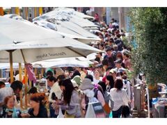 �Ƃ����܃}���V�F�̎ʐ^1