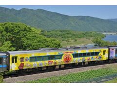 �䂤�䂤�A���p���}���J�[�̎ʐ^1