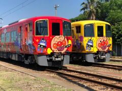 �A���p���}����Ԃ̎ʐ^1