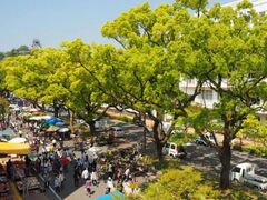 ���j�s�̎ʐ^1