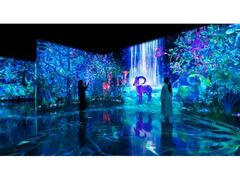 �`�[�����{�t�H���X�g ���� �| SBI�،��̎ʐ^1