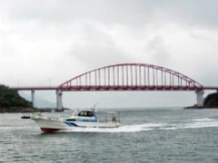 ��������N���[�W���O�̎ʐ^1