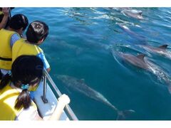 �C���J�E�H�b�`���O�i�쓇���j�̎ʐ^1