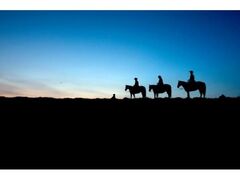 ���P�X�^�[���C�g�g���b�L���O�̎ʐ^1