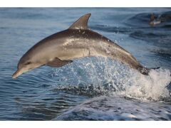 �V�[�N���[�Y�@�C���J�E�H�b�`���O�̎ʐ^1