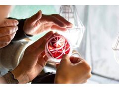 �؎q�J�b�g�̌��̎ʐ^1