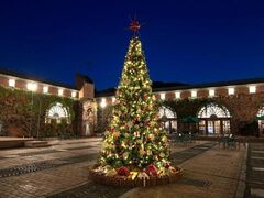 q~ACr[XNGÃC~l[V̎ʐ^1