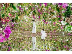 �`�[�����{�v���l�b�c TOKYO DMM�̎ʐ^1