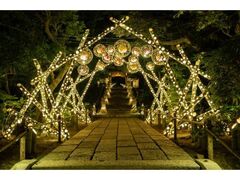 HANA������`HANA�EBIYORI�~�|������`�̎ʐ^1