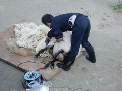 ���H�s�������@�t�̓������܂�̎ʐ^1