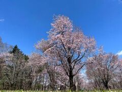 �эL�@�΃��u�����̍��̎ʐ^1