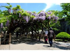 �ܗŊs�����̓��̎ʐ^1