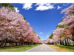 �����Ȃ����܂�̎ʐ^1