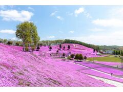 �Ђ��������Ǝō������@�ō��܂�̎ʐ^1