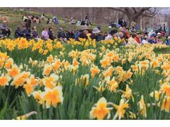 �ʐ��������܂�̎ʐ^1