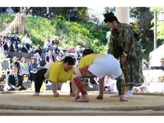 �k�C���������̑��o���̎ʐ^1