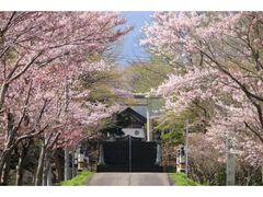 ����_�Ђ̍��̎ʐ^1