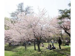 �~�R�����̍��i�D�y�j�̎ʐ^1