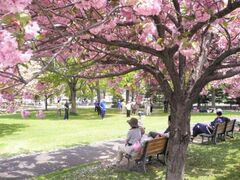 �_�������̍��̎ʐ^1