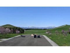 ���G���������̃T�N���̎ʐ^1