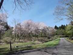 �����̐X�̍��̎ʐ^1