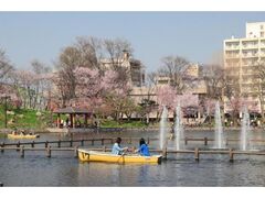 ��֌����̍��̎ʐ^1