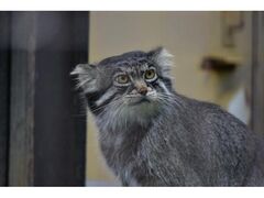 ����s���R�������Ċ��J���̎ʐ^1