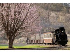 �X�ѓS�����C�@�֎ԁ@�J�{21���@�^�s�̎ʐ^1