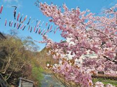 ��R�k����k����̂ڂ�̎ʐ^1