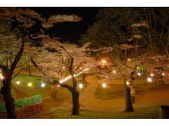 ������C�g�A�b�v�@���ٌ����̎ʐ^1