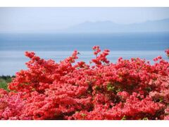 �b�R���܂�̎ʐ^1