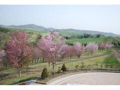 ���N���G�[�V���������̃G�]���}�U�N���̎ʐ^1