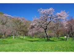 ���H�����܂�̎ʐ^1