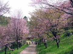 ��38���Ƃ�������䗅�R���܂�̎ʐ^1