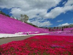 �ō��ԊX���̎ō��̎ʐ^1