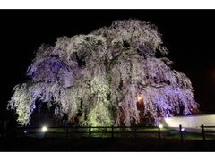 �k�l����L�̎ʐ^1