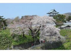 ���O�������{���̍��̎ʐ^1