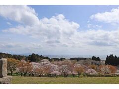 ���O���������̍��̎ʐ^1