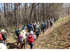 �L��R�R�J���E���S�F��Ղ̎ʐ^1