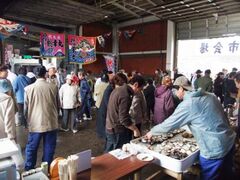 �l�v�ӂ邳�Ǝs��̎ʐ^1