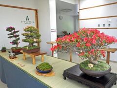 �L�������@�����ԋG�W�̎ʐ^1