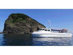 �����W�]�D�u�j���[���Ⴑ���񍆁v�^�q�̎ʐ^1