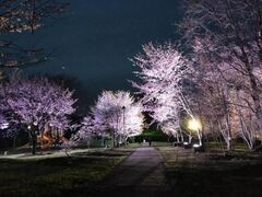 �e���X�����@������C�g�A�b�v�̎ʐ^1