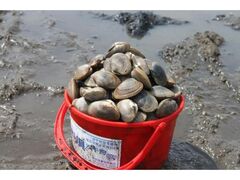 ���Џ��������t�F�X�e�B�o���̎ʐ^1