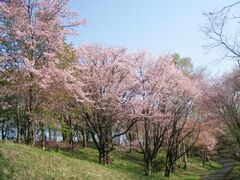 �����P�u���������̍��̎ʐ^1