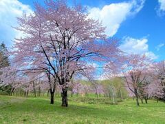 ���듻��ڐ�{���̎ʐ^1