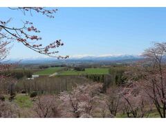 ������R�X�ь����̍��̎ʐ^1