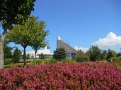 �k�C��������l�G�̓m�����̃q�[�X�̎ʐ^1